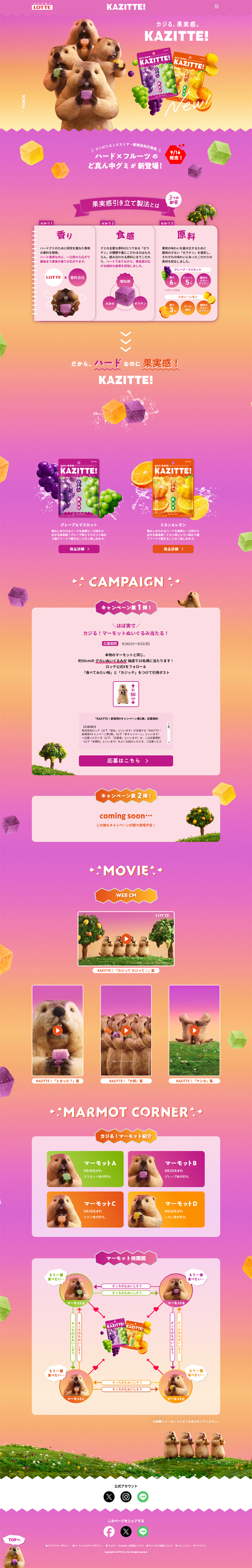 KAZITTE LP design (Snack foods, gum, and candy / Pink shades / Cute style) PC version
