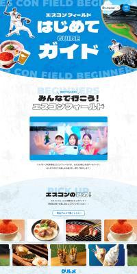Escon Field LP design (Events, Campaigns, Experiences / Shades of blue / Cute style) PC version
