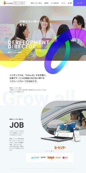 Hiring for Development Director Position LP design (recruitment / White-based / Simple) PC version