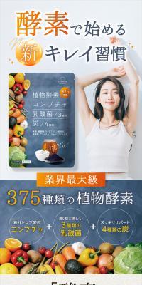 Plant Enzyme Kombucha LP design (Health foods, health drinks, and supplements / Shades of grey / Trust and Safety) PC version