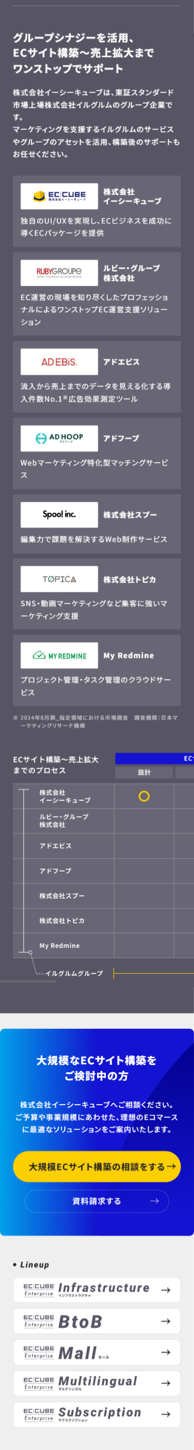 EC-CUBEEnterprise LP design (Design, Apps, Systems / Shades of blue / Simple) Mobile version