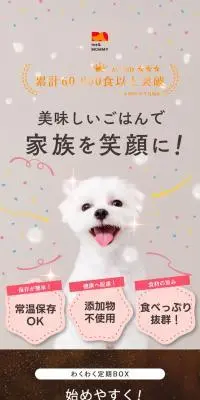 わくわく定期BOXのLPデザイン（ペットフード ・ ペット用品／イエロー系／シンプル系）スマホ版
