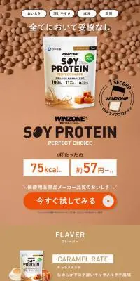 ウィンゾーン ソイプロテイン パーフェクトチョイスのLPデザイン（プロテイン・サプリメント／ブラウン系／シンプル系）PC版