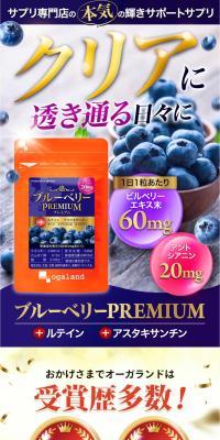 Blueberry PREMIUM LP design (Health foods, health drinks, and supplements / Shades of blue / Lively type) PC version