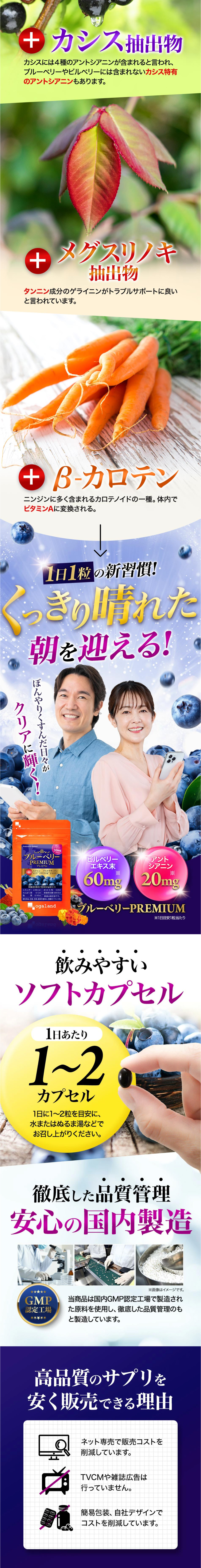ブルーベリーPREMIUMのLPデザイン（健康食品・健康ドリンク・サプリメント／ブルー系／にぎやか系）PC版