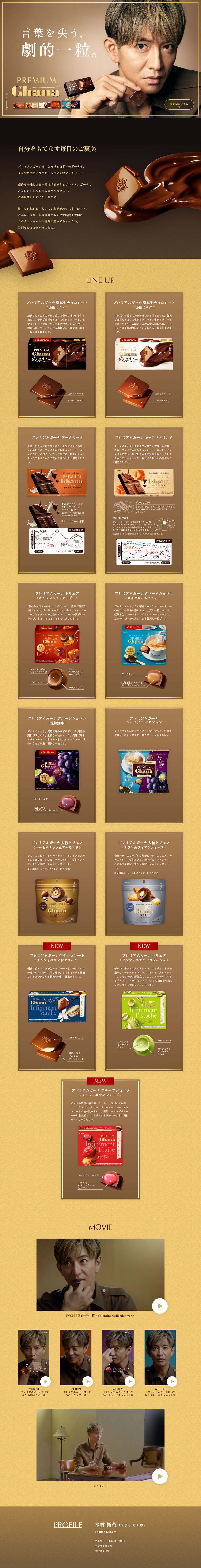 PREMIUM GhanaのLPデザイン（チョコレート／ブラウン系／高級・セレブ系）PC版