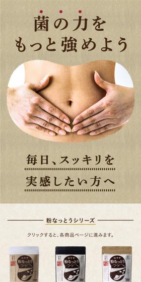 powdered natto LP design (Health foods, health drinks, and supplements / Brown tones / Japanese style) PC version