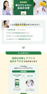 Hypertension Information Site LP design (Design, Apps, Systems / Green tones / Simple) PC version