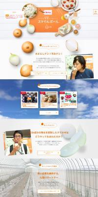 Smileball LP design (fruit-vegetable / Orange tones / Health and Wellness) PC version