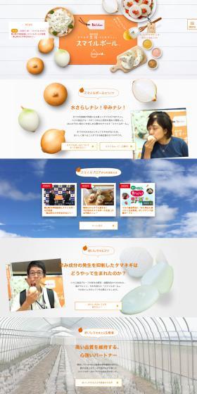 Smileball LP design (fruit-vegetable / Orange tones / Health and Wellness) PC version