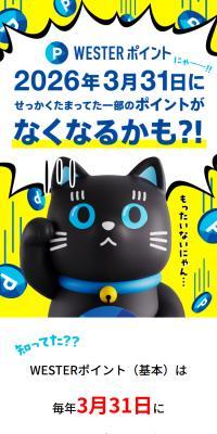 WESTER ポータルのLPデザイン（イベント・キャンペーン・体験／ブルー系／信頼・安心系）スマホ版