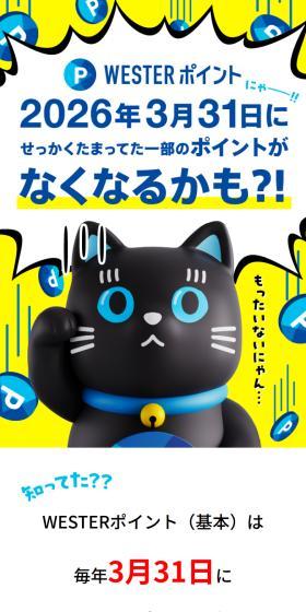 WESTER ポータルのLPデザイン(イベント・キャンペーン・体験/ブルー系/信頼・安心系)スマホ版