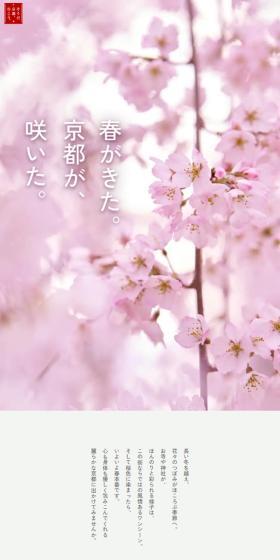 春が来た。京都が、咲いた。のLPデザイン（国内旅行・海外旅行／ピンク系／和風系）スマホ版
