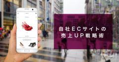 単品通販の売上を上げる方法とは？LP制作が選ばれる理由