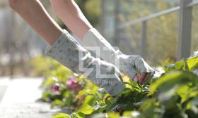 ロケ撮影（アパレル）の写真撮影実績