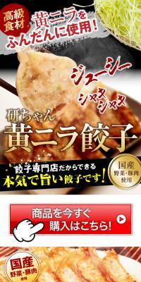 黄ニラをふんだんに使用！黄ニラ餃子のLPデザイン（カラフル系）PC版