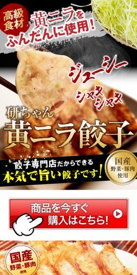 黄ニラをふんだんに使用！黄ニラ餃子のLPデザイン（カラフル系）PC版