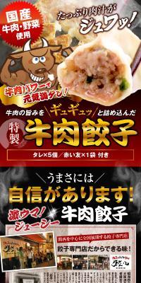 特製牛肉餃子のLPデザイン（カラフル系）PC版