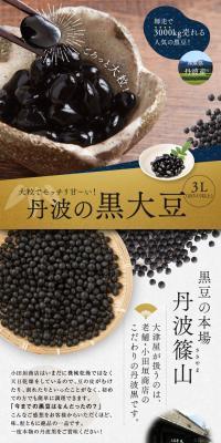 丹波の黒大豆 3LサイズのLPデザイン（カラフル系）PC版