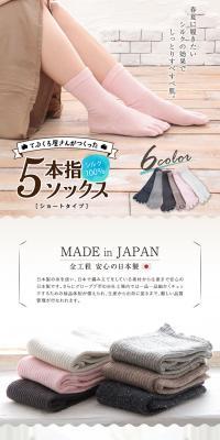てぶくろ屋さんがつくった5本指ソックスのLPデザイン（ベージュ系／アート・芸術系）PC版