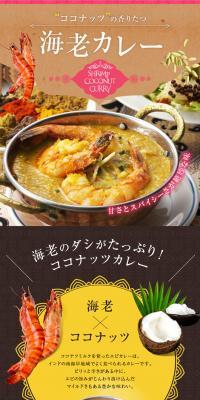 ココナッツの香りたつ「海老カレー」のLPデザイン（カラフル系）PC版