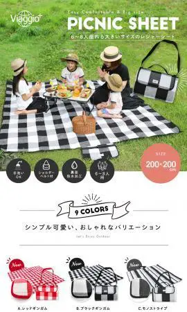 PICNIC SHEET