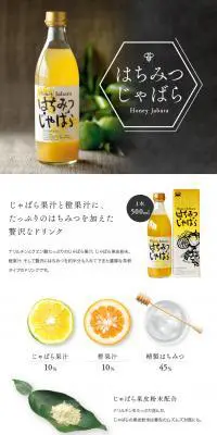 はちみつじゃばらのLPデザイン（カラフル系）PC版