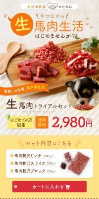 生馬肉トライアルセットのLPデザイン（ブラック系）PC版
