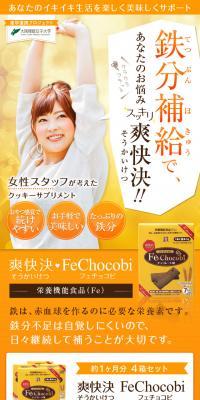 Fe Chocobi（フェチョコビ）のLPデザイン（健康食品・健康ドリンク・サプリメント／オレンジ系／かっこいい系）スマホ版