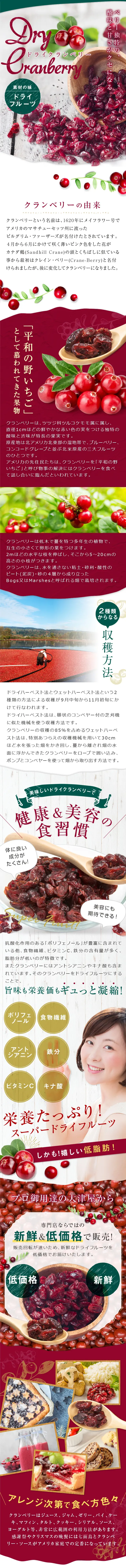 ドライクランベリーのLPデザインスマホ版