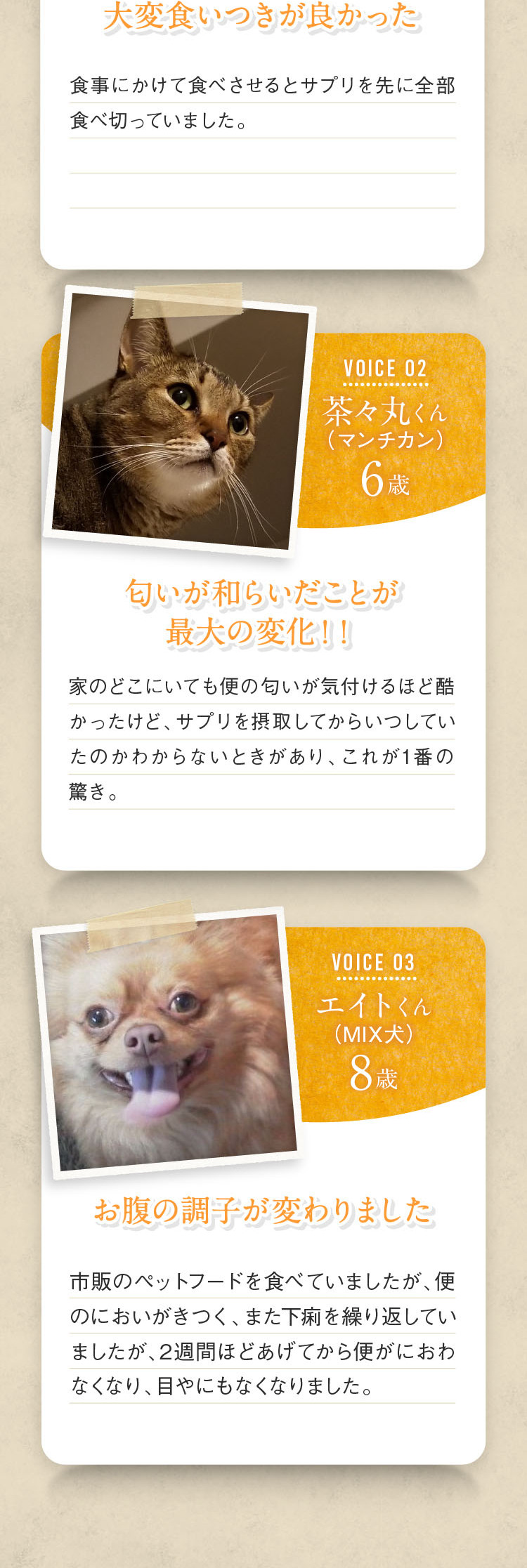 犬猫健康補助食品 フローラアシストPROのLPデザインスマホ版