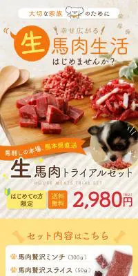 生馬肉トライアルセットのLPデザイン（ブラック系）スマホ版