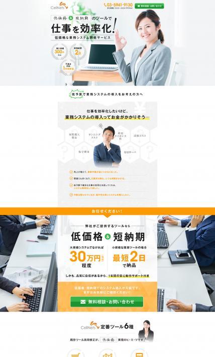 業務システム開発サービス｜株式会社セルネッツ様のLP制作実績