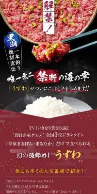 幻の漁師めし うずわのLPデザイン（カラフル系）スマホ版