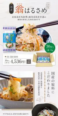 （国産）翁はるさめのLPデザイン（麺・パン・粉物／カラフル系／爽やか系）PC版