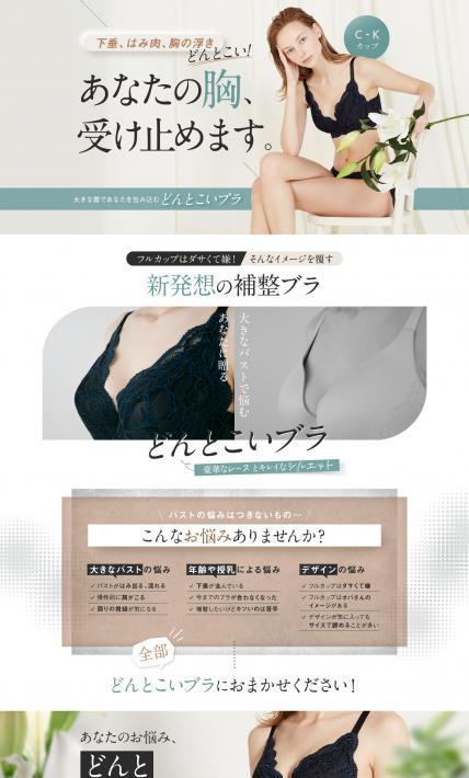 どんとこいブラ｜株式会社HEAVEN Japan様のLP制作実績