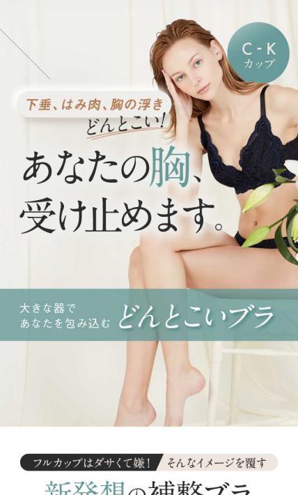 どんとこいブラ｜株式会社HEAVEN Japan様のLP制作実績
