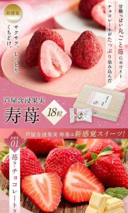芦屋含浸果実 寿苺｜株式会社H2R Japan様のLP制作実績