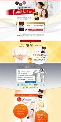 還元型コエンザイムQ10PrimeのLPデザイン（健康食品・健康ドリンク・サプリメント／ゴールド系／かっこいい系）PC版