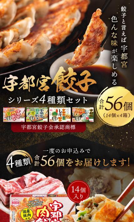 宇都宮餃子 シリーズ4種類セット｜株式会社アースコーポレーション様のLP制作実績