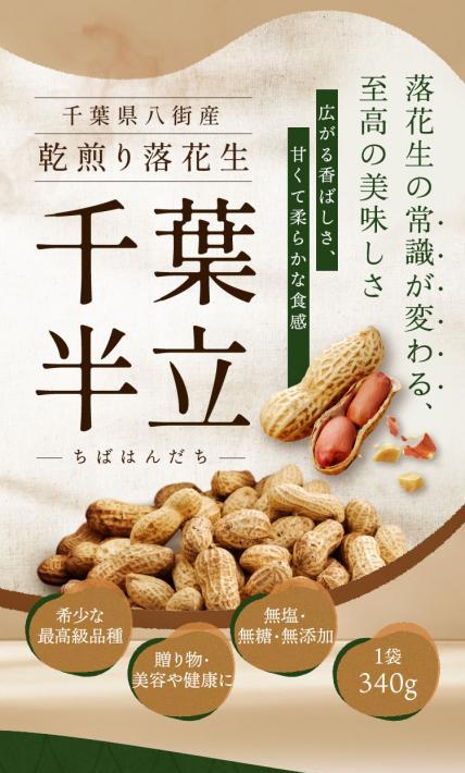 千葉半立-ちばはんだち-｜株式会社Ryuki Design様のLP制作実績