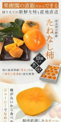 奈良西吉野産 たねなし柿のLPデザイン（フルーツ・果物・野菜／グレー系／和風系）スマホ版