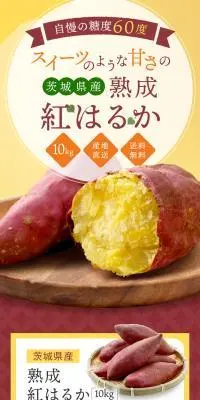茨城県産 熟成紅はるかのLPデザイン（フルーツ・果物・野菜／カラフル系／スタイリッシュ系）スマホ版