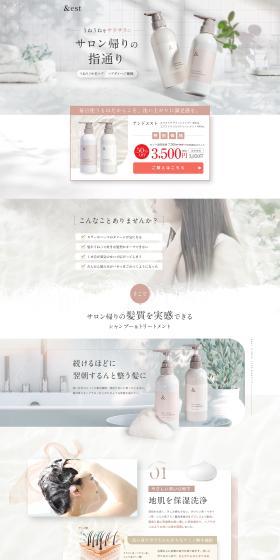 アンドエスト エクストラアミノシャンプー＆エクストラシルクトリートメントのLPデザイン（スキンケア・ボディケア・ヘアケア／ブラウン系／キレイ系）PC版
