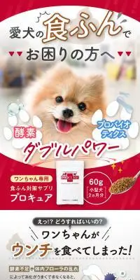 ワンちゃん専用 食ふん対策サプリ プロキュアのLPデザイン（ペットフード ・ ペット用品／ブラック系／信頼・安心系）スマホ版