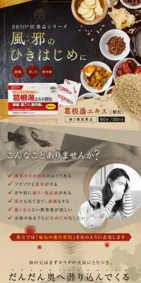 BRIO医薬品シリーズ 葛根湯エキス 顆粒のLPデザイン（玩具・ホビー・フィギュア／ブラック系／和風系）PC版
