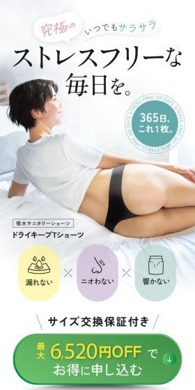 吸水サニタリーショーツ ドライキープTショーツのLPデザイン（下着・ナイトウェア／ベージュ系／清潔系）スマホ版