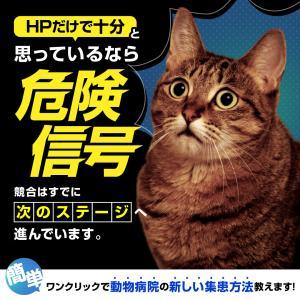 動物病院サプリバナーのデザイン制作実績（教材・サービス）