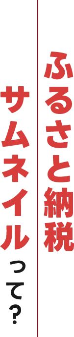 ふるさと納税サムネイルって?