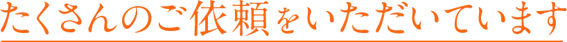 たくさんのご依頼をいただいています